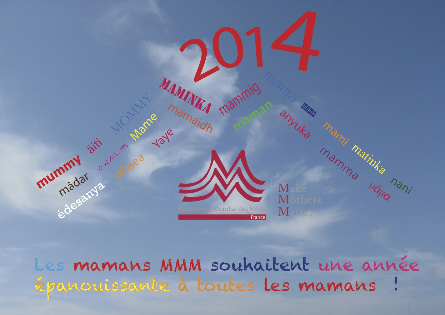 voeux MMM 2014.jpg 